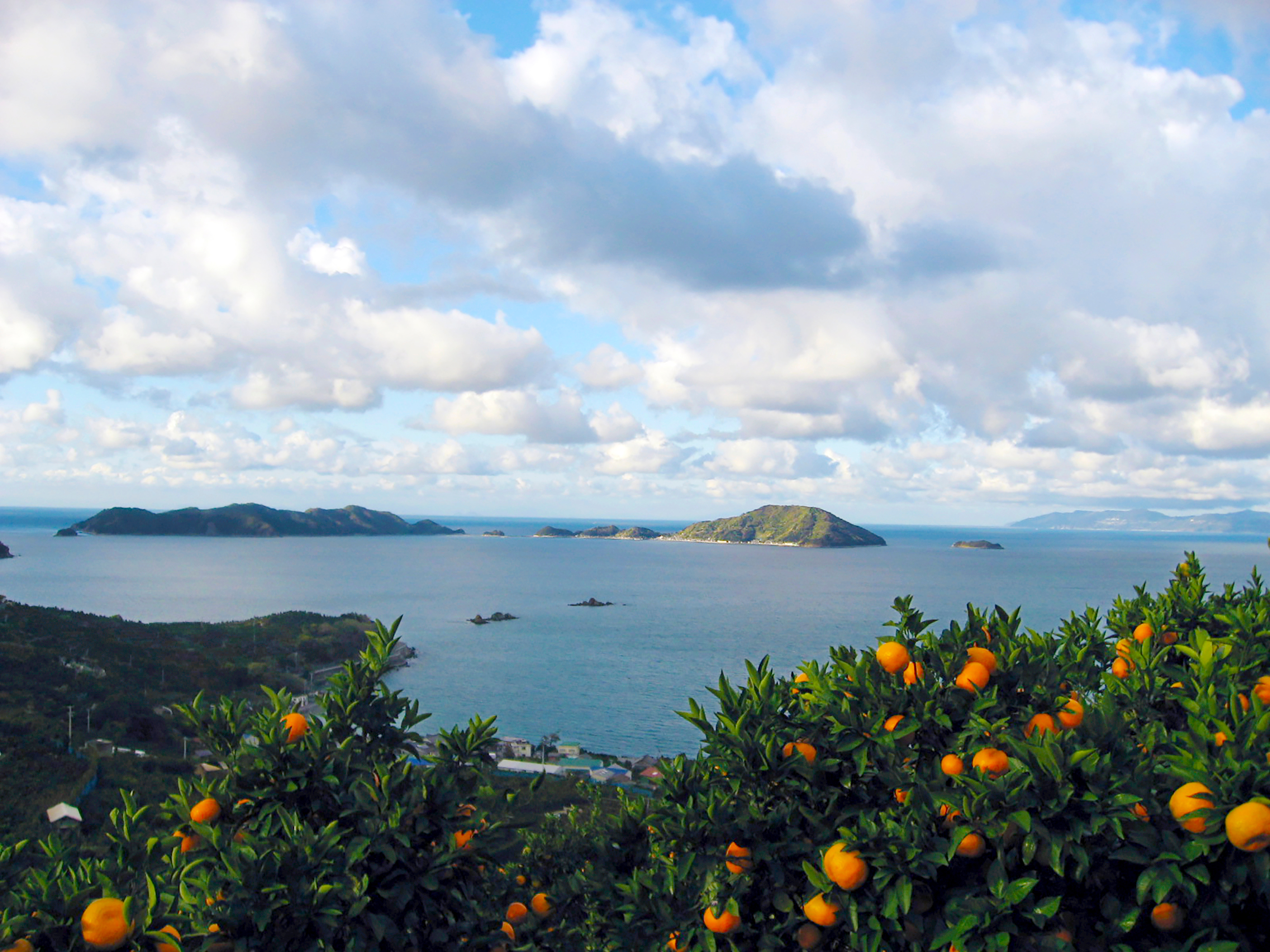 愛媛県：イメージ